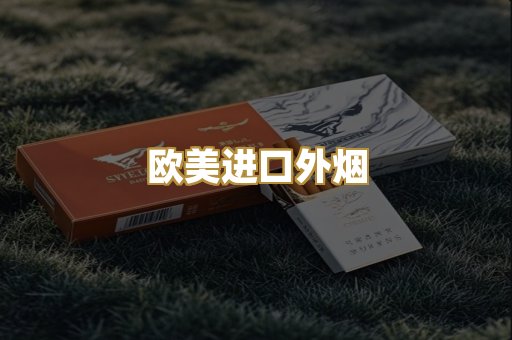 欧美进口外烟